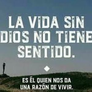 Meet your Posher, Drarebecca